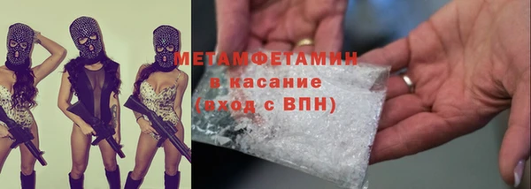 ПСИЛОЦИБИНОВЫЕ ГРИБЫ Гусев