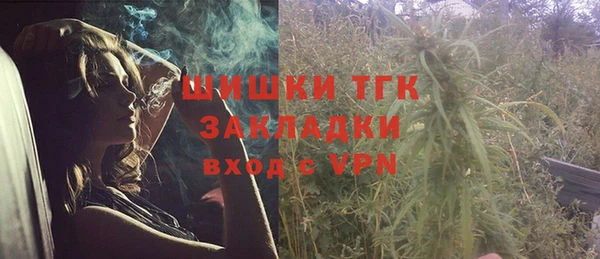 мяу мяу мука Тайга